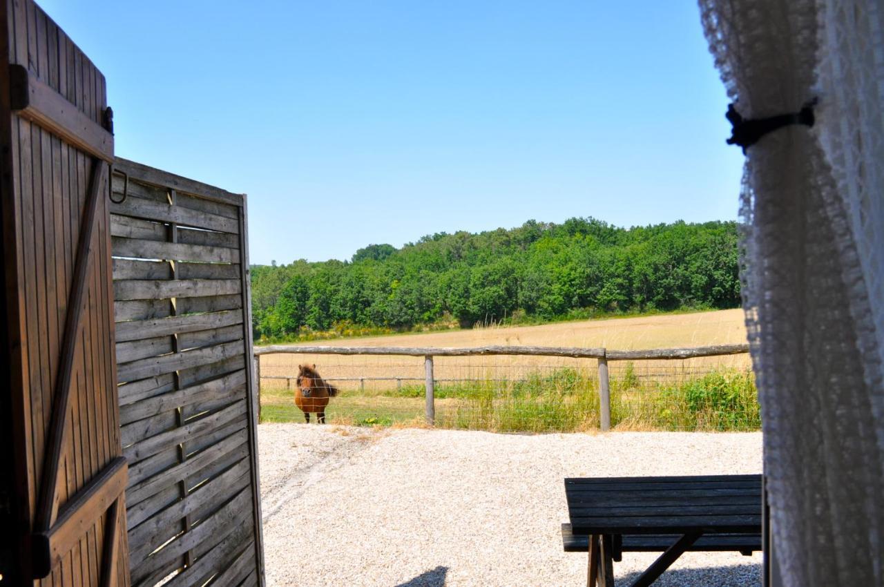 La Ferme Couderc Villa Castelnaud-de-Gratecambe Exterior foto